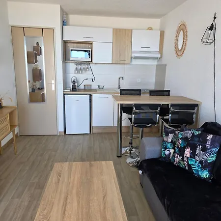 Appartement Arena Vue Incroyable Clim Wifi Parking *