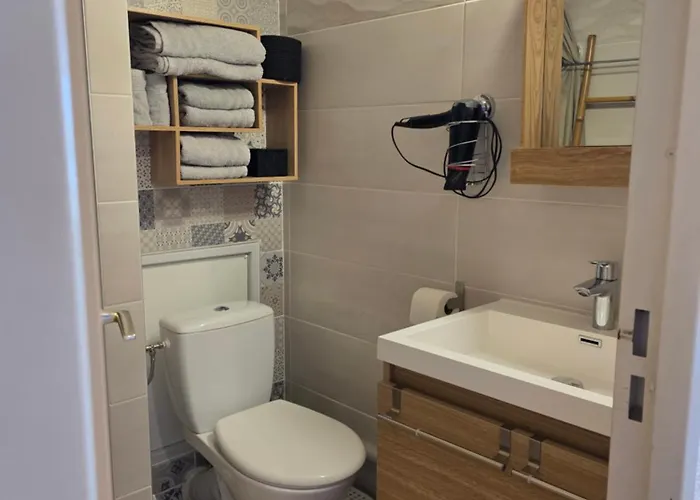 Arena Vue Incroyable Clim Wifi Parking アパート